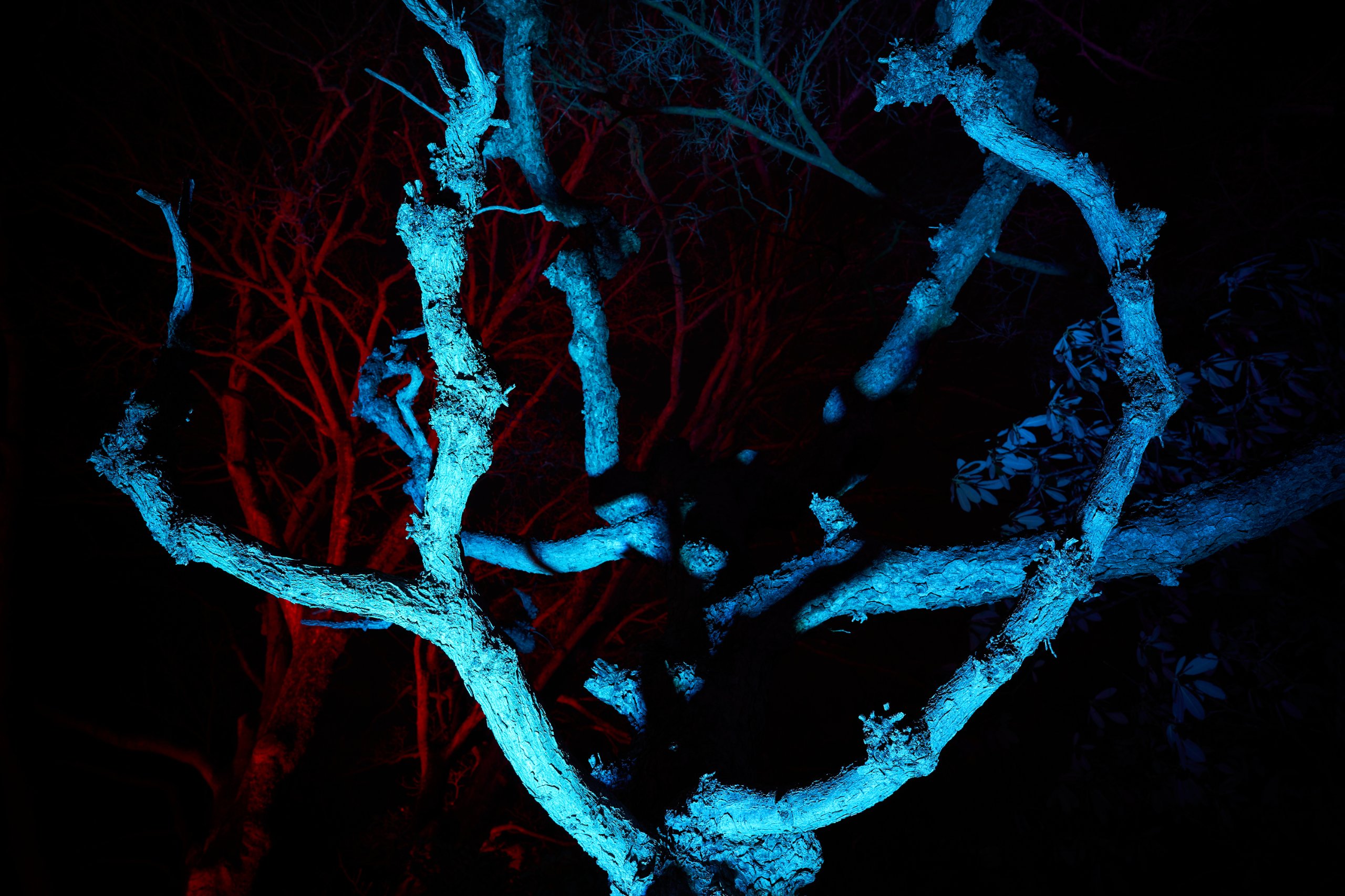 2023 01 24 Parkleuchten 0548